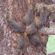 A closer view of the tangled mass.